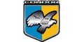 Condor Condor