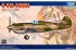 H-81A-2(AVG) (Trumpeter 05807) 1/48