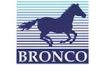 Bronco