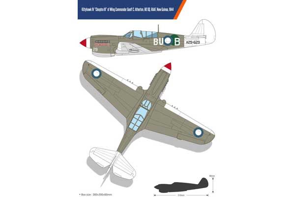 P-40N "Битва при Імпхалі" (Academy12341) 1/48