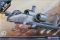 A-10A "Operation Iraqi Freedom" (Academy 12402) 1/72 A-10A "Operation Iraqi Freedom" (Academy 12402) 1/72