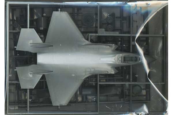 F-35 Lightning II (A Version) J.A.S.D.F.  (Hasegawa 02465) 1/72