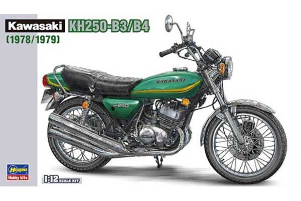 Kawasaki KH250-B3/B4 (1978/1979) (Hasegawa 21508 BK8) 1/12