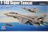 F-14D Super Tomcat (Hobby Boss 80278) 1/72