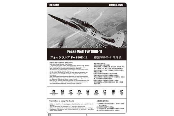 Focke Wulf FW 190D-11 (Hobby Boss 81718) 1/48