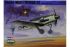 Focke-Wulf FW190D-12 (Hobby Boss 81719) 1/48