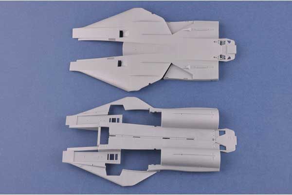 “Persian Cat” F-14A TomCat - IRIAF (Hobby Boss 81771) 1/48