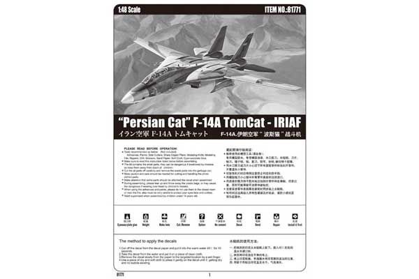 “Persian Cat” F-14A TomCat - IRIAF (Hobby Boss 81771) 1/48