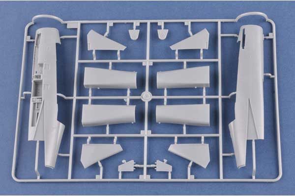 “Persian Cat” F-14A TomCat - IRIAF (Hobby Boss 81771) 1/48