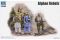 Афгансие повстанцы (Trumpeter 00436) 1/35 Афгансие повстанцы (Trumpeter 00436) 1/35