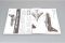 English Electric (BAC) Lightning F.2A/F.6 (Trumpeter 02281) 1/32 English Electric (BAC) Lightning F.2A/F.6 (Trumpeter 02281) 1/32
