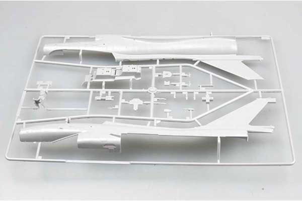 J-10S Vigorous Dragon (Trumpeter 02842) 1/48