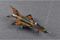 МиГ-21МФ (Trumpeter 02863) 1/48 МиГ-21МФ (Trumpeter 02863) 1/48