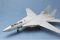 F-14D Super Tomcat (Trumpeter 03203) 1/32 F-14D Super Tomcat (Trumpeter 03203) 1/32