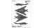 F-117A Nighthawk (Trumpeter 03219) 1/32 F-117A Nighthawk (Trumpeter 03219) 1/32